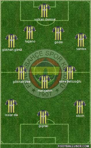 Fenerbahçe SK Formation 2010