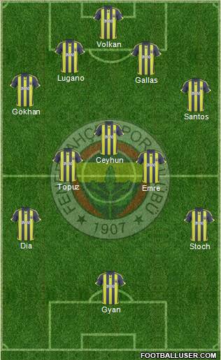 Fenerbahçe SK Formation 2010