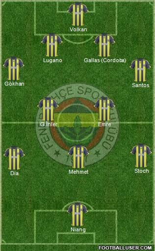 Fenerbahçe SK Formation 2010