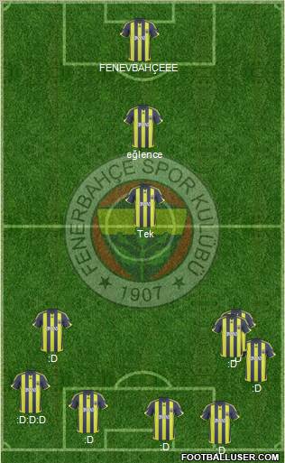 Fenerbahçe SK Formation 2010