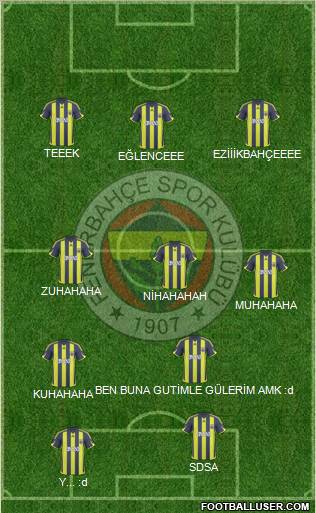 Fenerbahçe SK Formation 2010