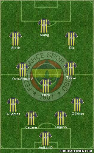 Fenerbahçe SK Formation 2010