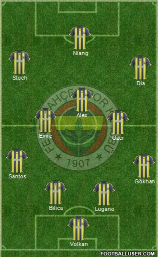 Fenerbahçe SK Formation 2010