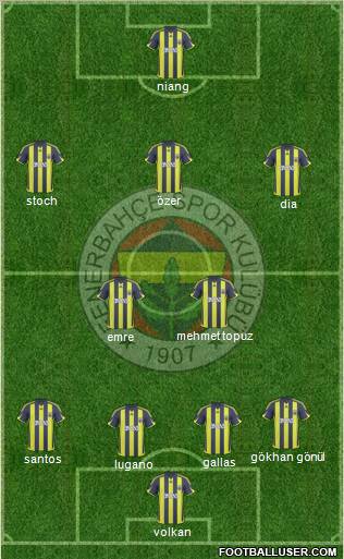 Fenerbahçe SK Formation 2010