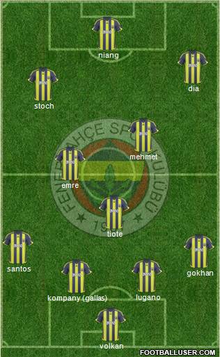 Fenerbahçe SK Formation 2010