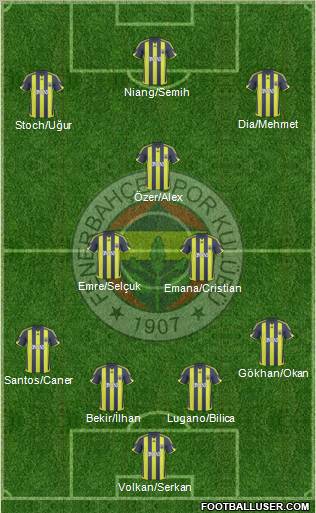 Fenerbahçe SK Formation 2010