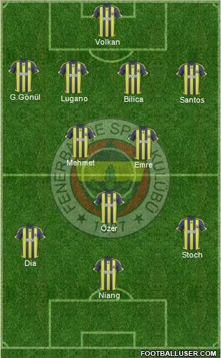 Fenerbahçe SK Formation 2010