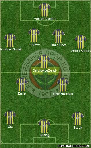 Fenerbahçe SK Formation 2010