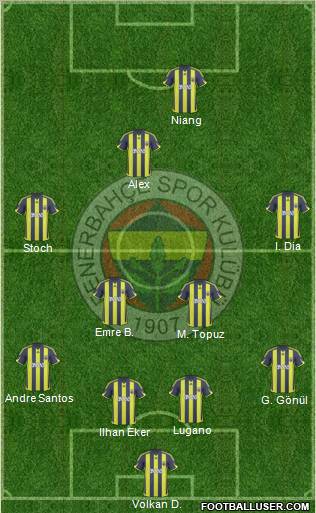 Fenerbahçe SK Formation 2010