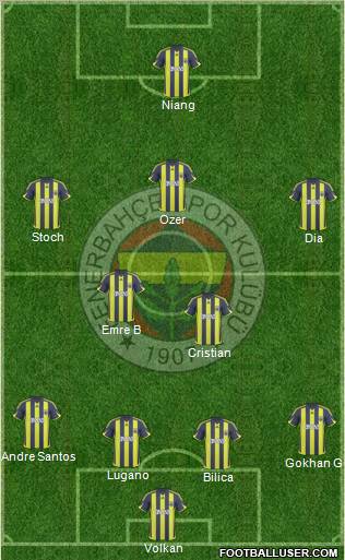 Fenerbahçe SK Formation 2010