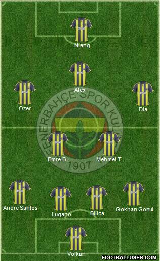 Fenerbahçe SK Formation 2010