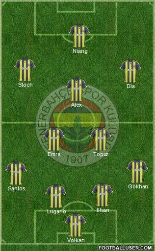 Fenerbahçe SK Formation 2010