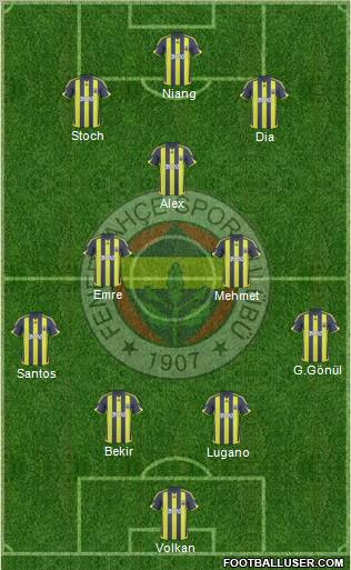 Fenerbahçe SK Formation 2010