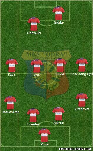 Odra Wodzislaw Slaski Formation 2010