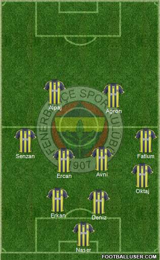 Fenerbahçe SK Formation 2010