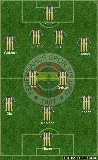 Fenerbahçe SK Formation 2010