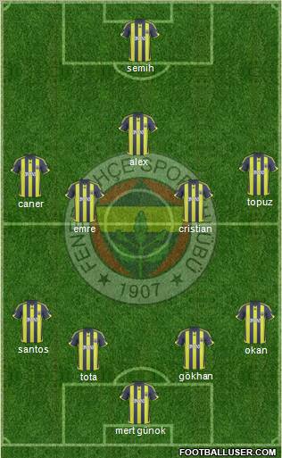 Fenerbahçe SK Formation 2010