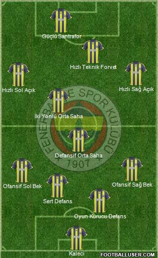 Fenerbahçe SK Formation 2010