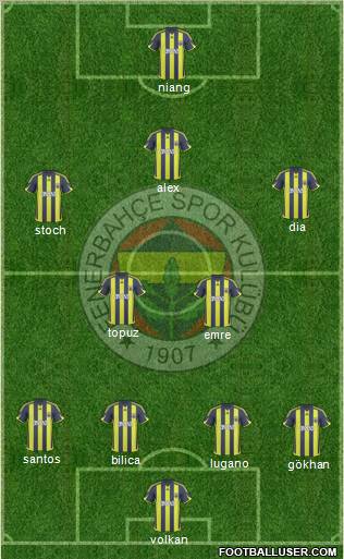 Fenerbahçe SK Formation 2010