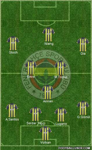 Fenerbahçe SK Formation 2010