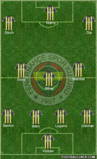 Fenerbahçe SK Formation 2010