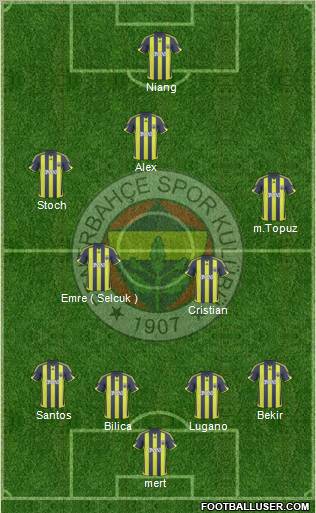 Fenerbahçe SK Formation 2010