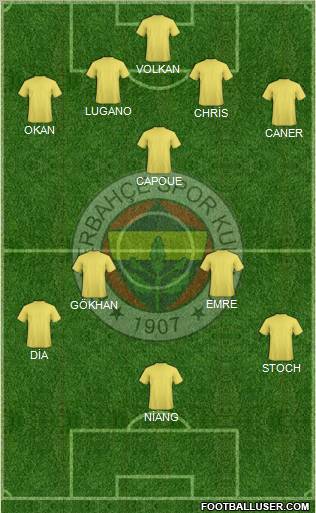 Fenerbahçe SK Formation 2010