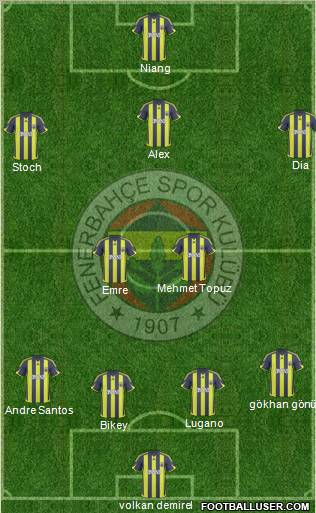 Fenerbahçe SK Formation 2010