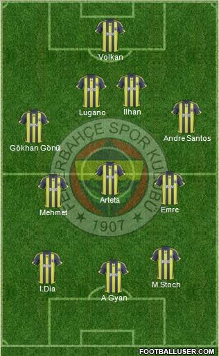 Fenerbahçe SK Formation 2010