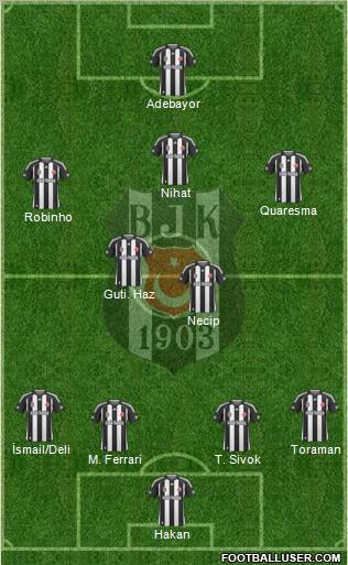 Besiktas JK Formation 2010