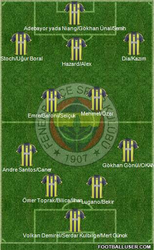 Fenerbahçe SK Formation 2010