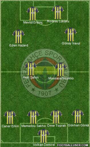 Fenerbahçe SK Formation 2010