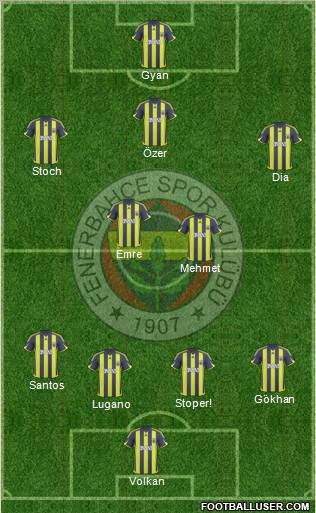 Fenerbahçe SK Formation 2010