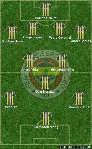 Fenerbahçe SK Formation 2010