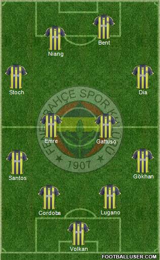 Fenerbahçe SK Formation 2010