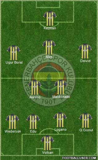 Fenerbahçe SK Formation 2010