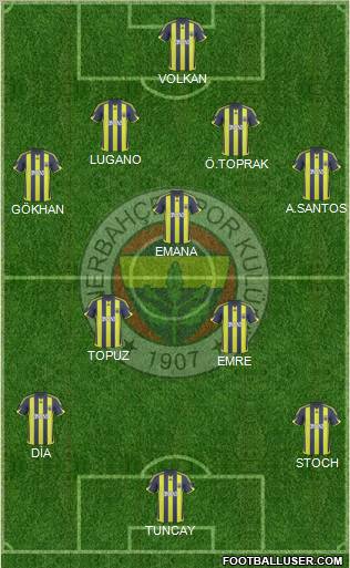 Fenerbahçe SK Formation 2010