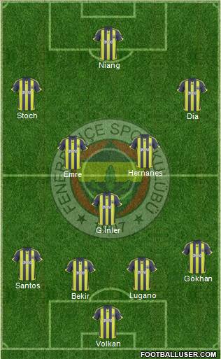 Fenerbahçe SK Formation 2010