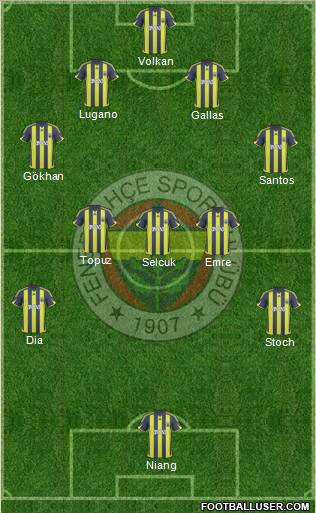 Fenerbahçe SK Formation 2010