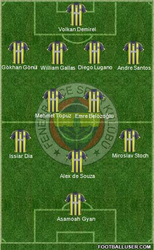 Fenerbahçe SK Formation 2010