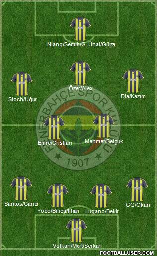 Fenerbahçe SK Formation 2010