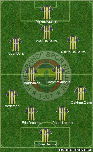 Fenerbahçe SK Formation 2010