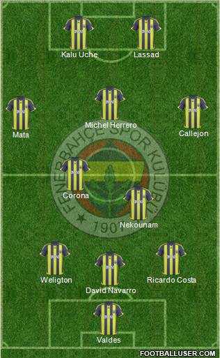 Fenerbahçe SK Formation 2010