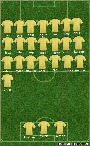 World Cup 2010 Team Formation 2010