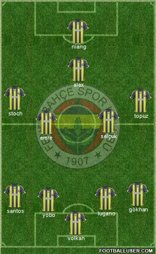 Fenerbahçe SK Formation 2010