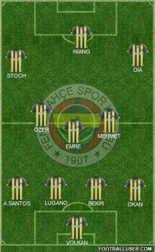 Fenerbahçe SK Formation 2010