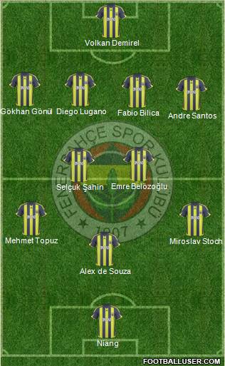 Fenerbahçe SK Formation 2010