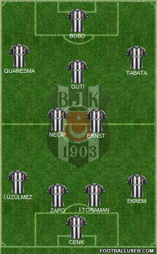 Besiktas JK Formation 2010