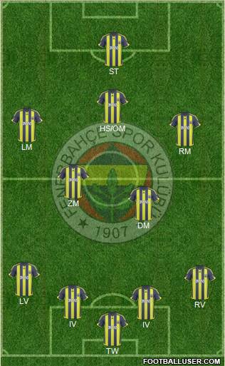 Fenerbahçe SK Formation 2010