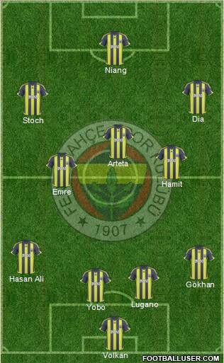 Fenerbahçe SK Formation 2010